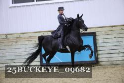 25BUCKEYE_09682 thumbnail