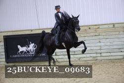 25BUCKEYE_09683 thumbnail