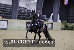 25BUCKEYE_09693 thumbnail
