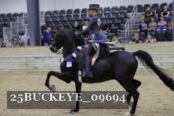 25BUCKEYE_09694 thumbnail