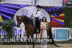25BUCKEYE_09702 thumbnail