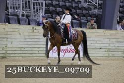 25BUCKEYE_09709 thumbnail