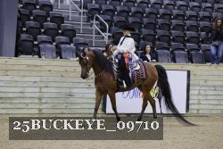 25BUCKEYE_09710 thumbnail