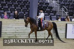 25BUCKEYE_09712 thumbnail