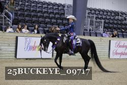 25BUCKEYE_09717 thumbnail