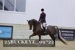 25BUCKEYE_09722 thumbnail