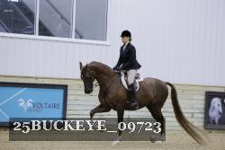 25BUCKEYE_09723 thumbnail