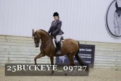 25BUCKEYE_09727 thumbnail