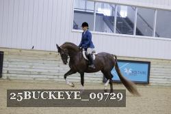 25BUCKEYE_09729 thumbnail