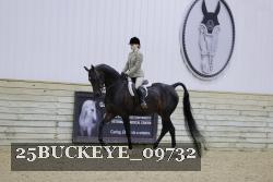 25BUCKEYE_09732 thumbnail