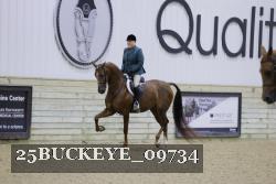 25BUCKEYE_09734 thumbnail