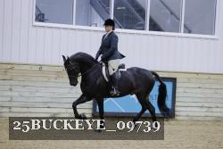 25BUCKEYE_09739 thumbnail
