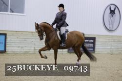 25BUCKEYE_09743 thumbnail