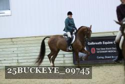 25BUCKEYE_09745 thumbnail
