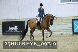 25BUCKEYE_09746 thumbnail
