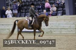 25BUCKEYE_09747 thumbnail