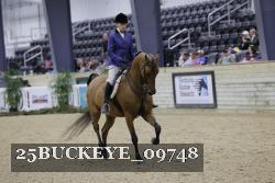 25BUCKEYE_09748 thumbnail