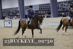 25BUCKEYE_09750 thumbnail
