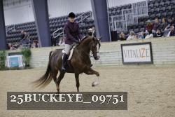 25BUCKEYE_09751 thumbnail