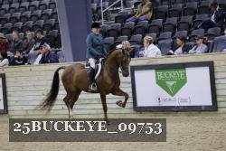 25BUCKEYE_09753 thumbnail