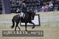 25BUCKEYE_09755 thumbnail