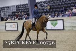 25BUCKEYE_09756 thumbnail