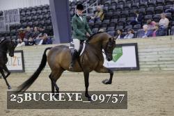 25BUCKEYE_09757 thumbnail