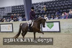 25BUCKEYE_09758 thumbnail