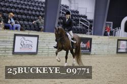 25BUCKEYE_09771 thumbnail