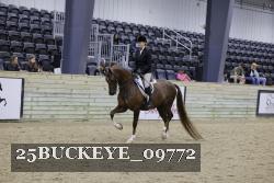 25BUCKEYE_09772 thumbnail