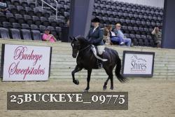 25BUCKEYE_09775 thumbnail