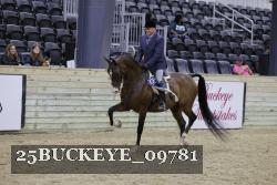 25BUCKEYE_09781 thumbnail