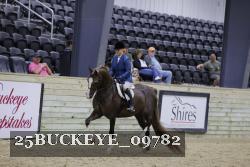 25BUCKEYE_09782 thumbnail
