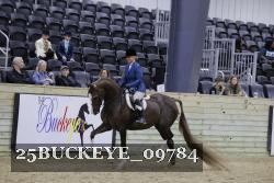 25BUCKEYE_09784 thumbnail