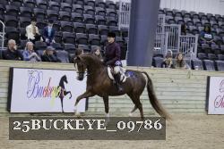 25BUCKEYE_09786 thumbnail