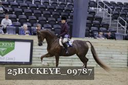 25BUCKEYE_09787 thumbnail