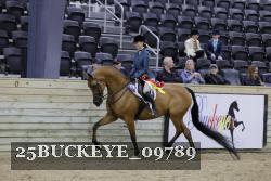 25BUCKEYE_09789 thumbnail