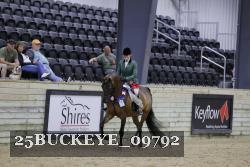 25BUCKEYE_09792 thumbnail