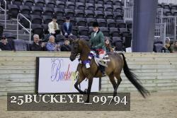 25BUCKEYE_09794 thumbnail