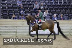 25BUCKEYE_09795 thumbnail