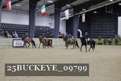 25BUCKEYE_09799 thumbnail