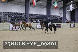 25BUCKEYE_09801 thumbnail