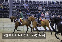 25BUCKEYE_09804 thumbnail