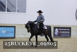 25BUCKEYE_09805 thumbnail