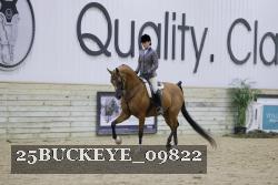25BUCKEYE_09822 thumbnail