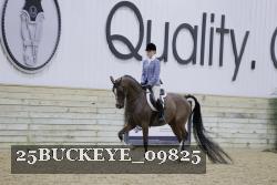 25BUCKEYE_09825 thumbnail