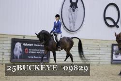 25BUCKEYE_09829 thumbnail