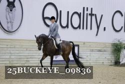 25BUCKEYE_09836 thumbnail