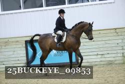 25BUCKEYE_09853 thumbnail