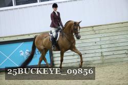 25BUCKEYE_09856 thumbnail